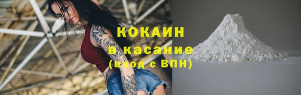 индика Армянск