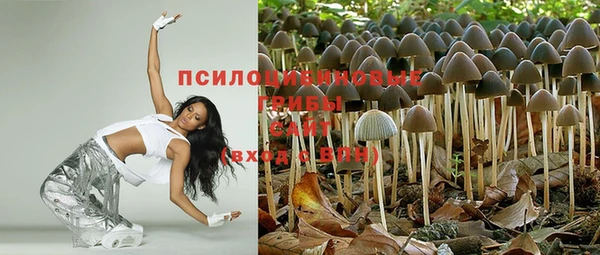 индика Армянск